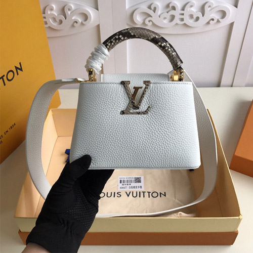 루이비통 카퓌신 미니 N98477 화이트