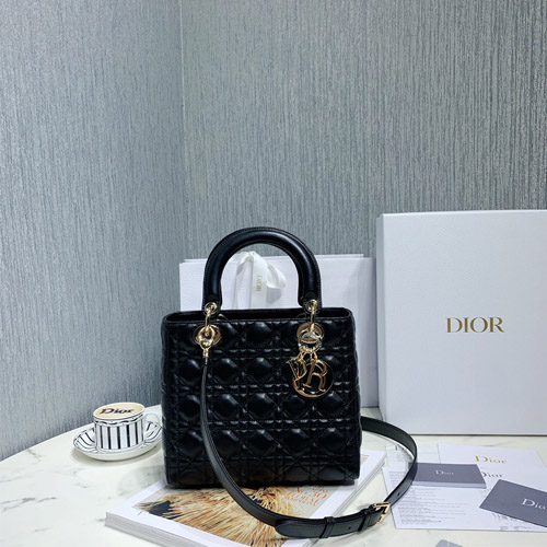 디올 레이디백 미듐 M0535 블랙 금장