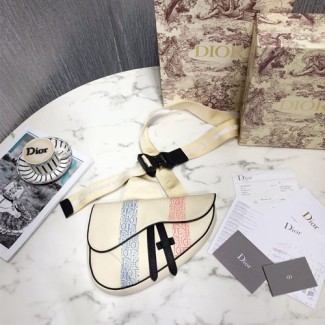 디올 남여공용 패브릭 새들백 1ADPO093 아이보리