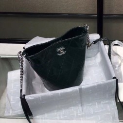 샤넬 신상 에나멜 버킷백 A8117 그린