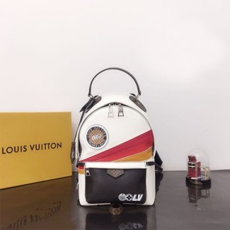 루이비통 팜 스프링스 백팩 PM M55797