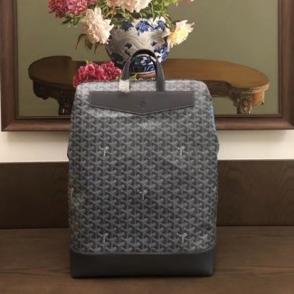 고야드 시스알팡 백팩 G431433 그레이