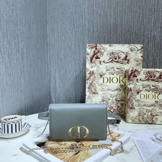 디올 30 MONTAIGNE 송아지 가죽 투인원 파우치 S2086 그레이