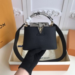 루이비통 카퓌신 미니 N98477 블랙&스네이크