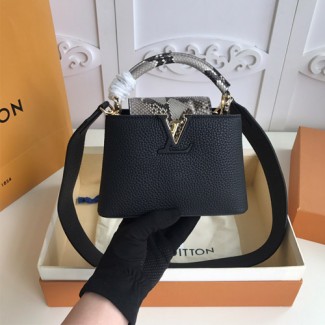 루이비통 카퓌신 미니 N98477 블랙&스네이크