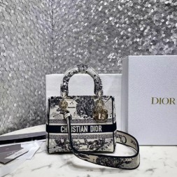 디올 미디엄 레이디백 M0565-37