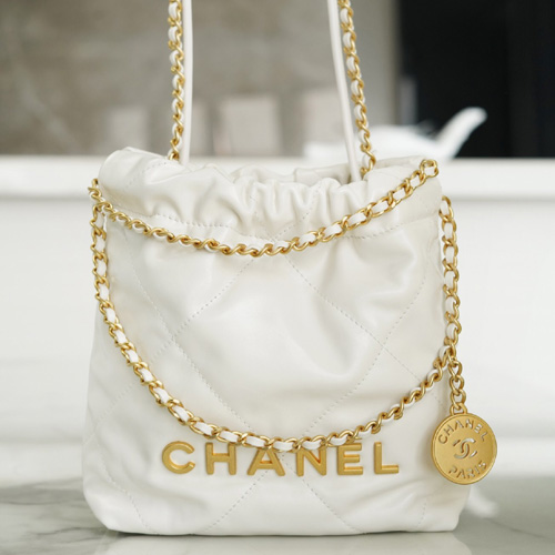  샤넬 22백 미니 숄더백 AS3980-6