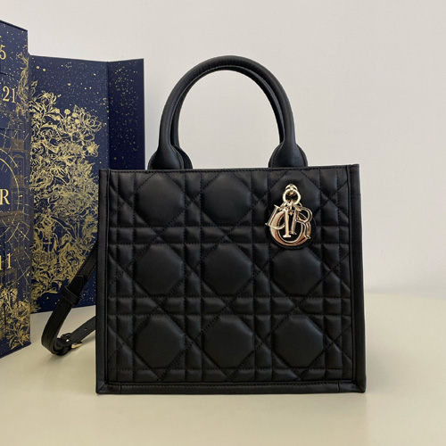 디올 북 토트백 스몰 M1325