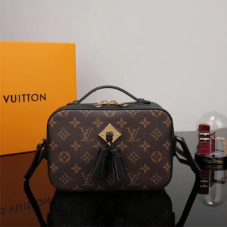 루이비통 신상 생통주백 M43555