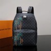 루이비통 신상 다미에 아폴로 백팩 N50003