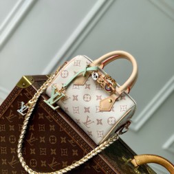 루이비통 나노 스피디 M24606-1