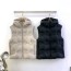 루이비통 남여공용 패딩조끼 M10419
