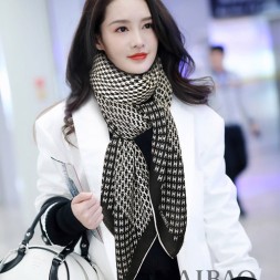 샤넬 신상 스카프 G3648