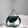 디올 DIOR OBLIQUE 자수 캔버스 새들백 M0446 그린