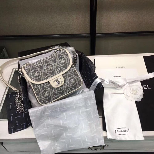 샤넬 신상 체인 크로스백 A58643 스몰