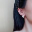 샤넬 신상 귀걸이 C172008