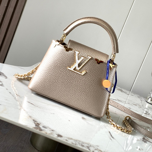 루이비통 카퓌신 미니 M20845-1