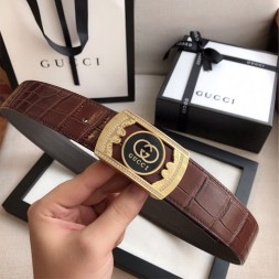 구찌  신상  벨트 234193 브라운 금장