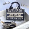 디올 오블리크 미니 북토트 M1326
