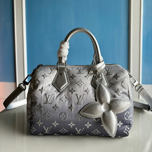 루이비통 반둘리에 스피디 25 M11848