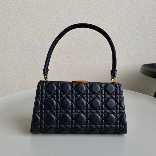 디올 핸들 숄더백 S2691 블랙