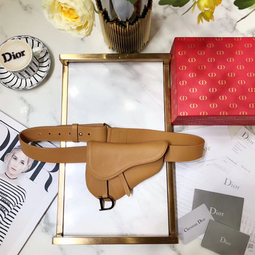 디올 신상 벨트백 M0251 브라운