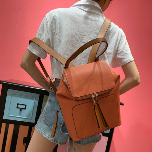 로에베 여성용 고야 스몰 백팩 324184 오렌지핑크