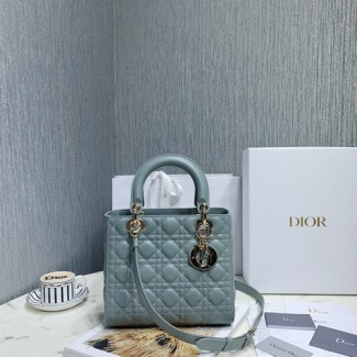디올 레이디백 미듐 M0535 그레이 금장