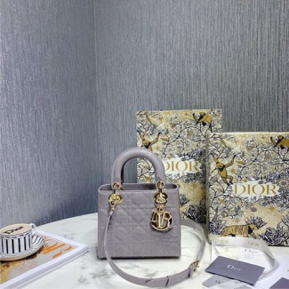 디올 에나멜 레이디백 스몰 M0531-5