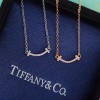 티파니앤코 신상 목걸이 TF2769 미니