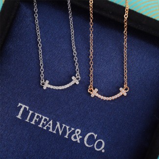 티파니앤코 신상 목걸이 TF2769 미니