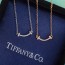 티파니앤코 신상 목걸이 TF2769 미니