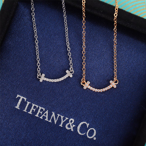티파니앤코 신상 목걸이 TF2769 미니