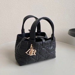 디올 뚜주흐 백 스몰 M2822-3