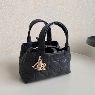 디올 뚜주흐 백 스몰 M2822-3