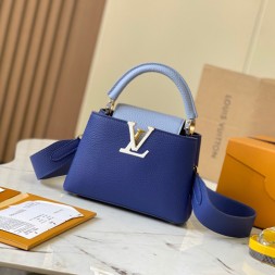 루이비통 카퓌신 미니 M59433-1