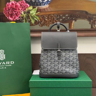 고야드 알핀 미니 백팩 뉴버전 G192295 그레이