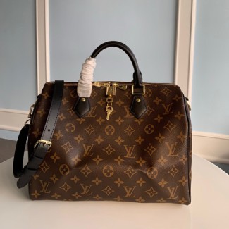 루이비통 마카사 스피디 30 M48284