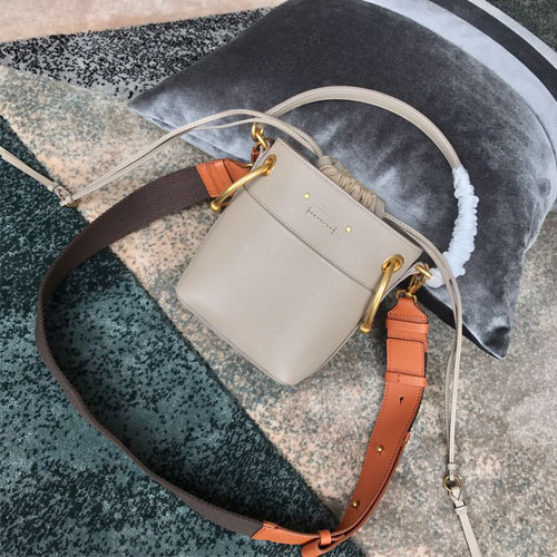 끌로에 미니 로이 버킷백 3S128A 그레이