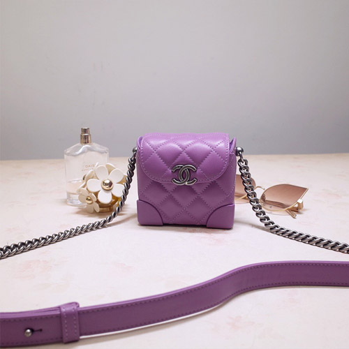 샤넬 신상 카메라백 AS1110 보라